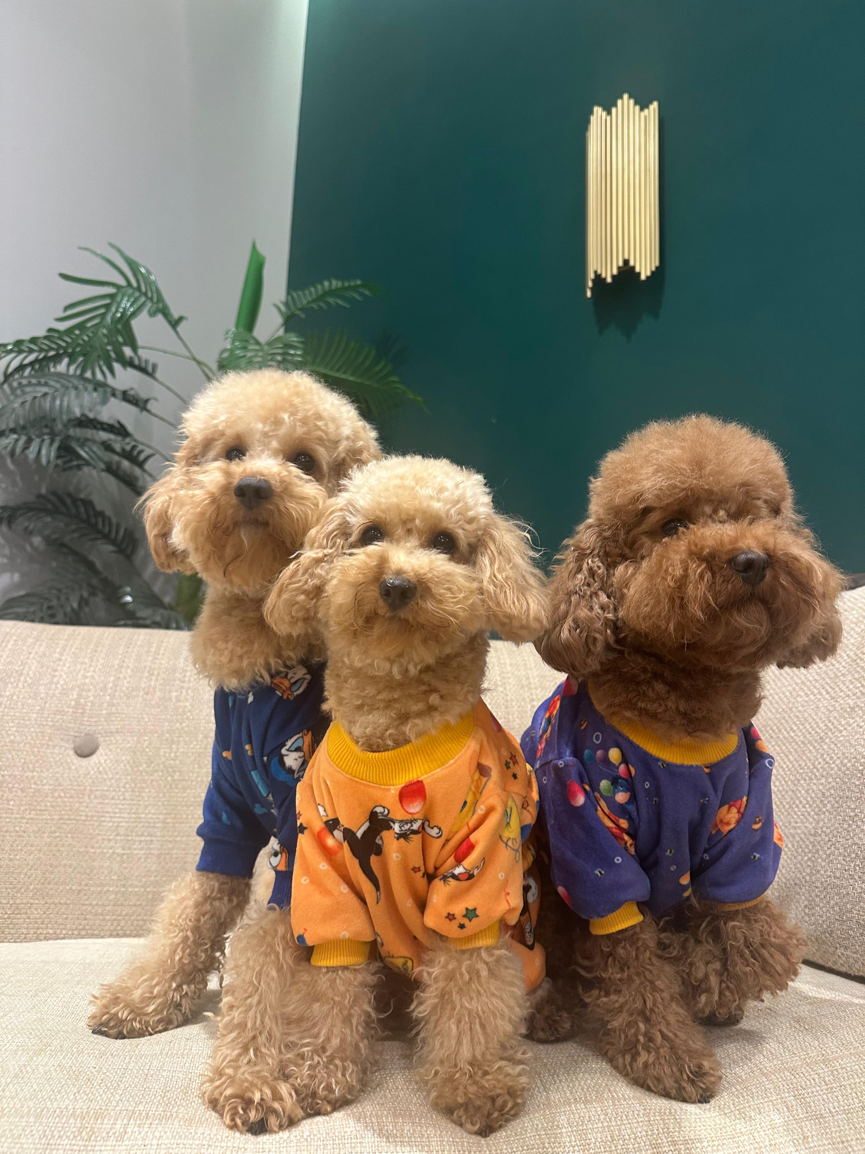 Pyjamas