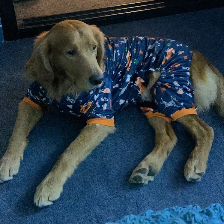 Cozy - Navy Pyjama Party