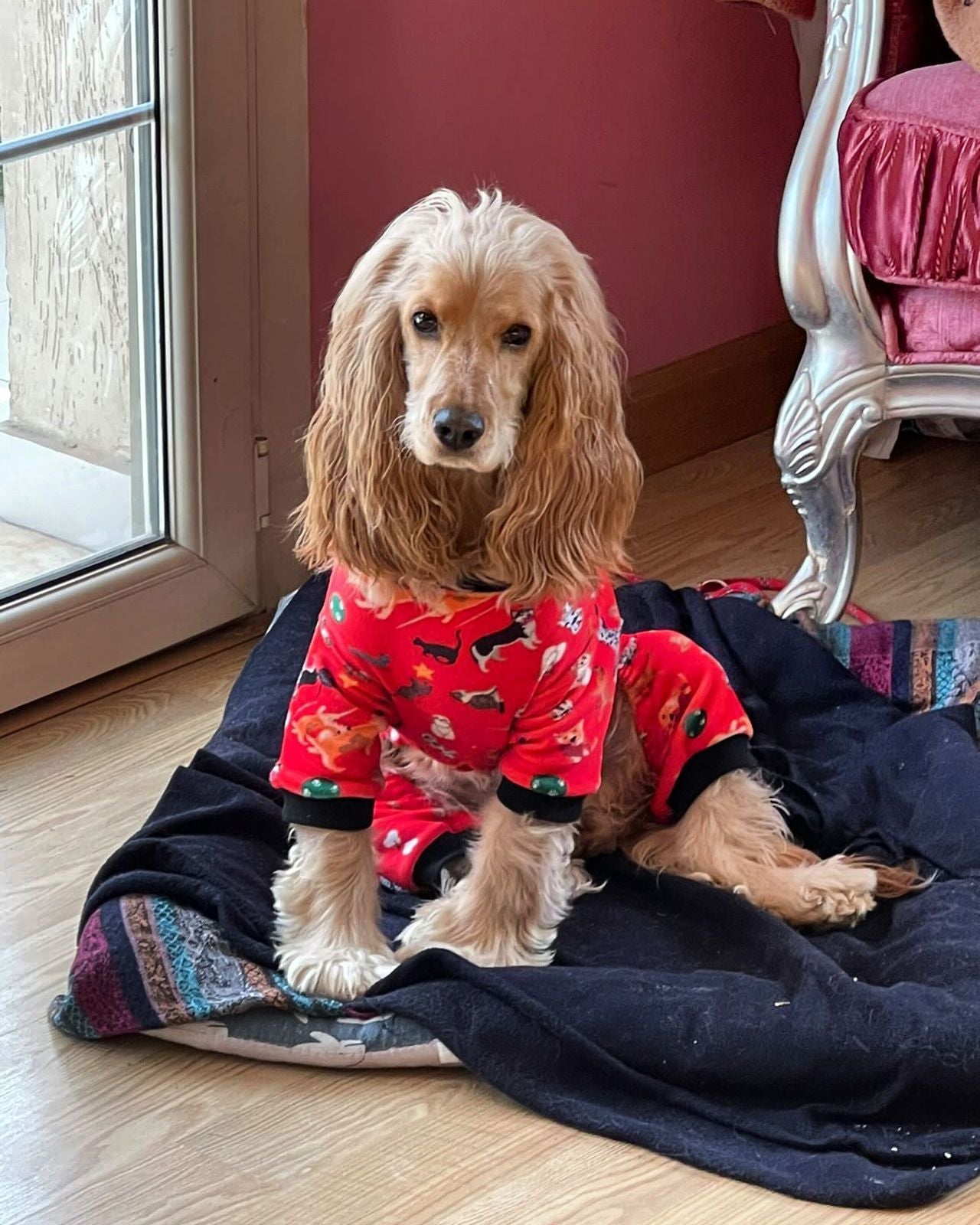 Cozy - Red Pyjama Party