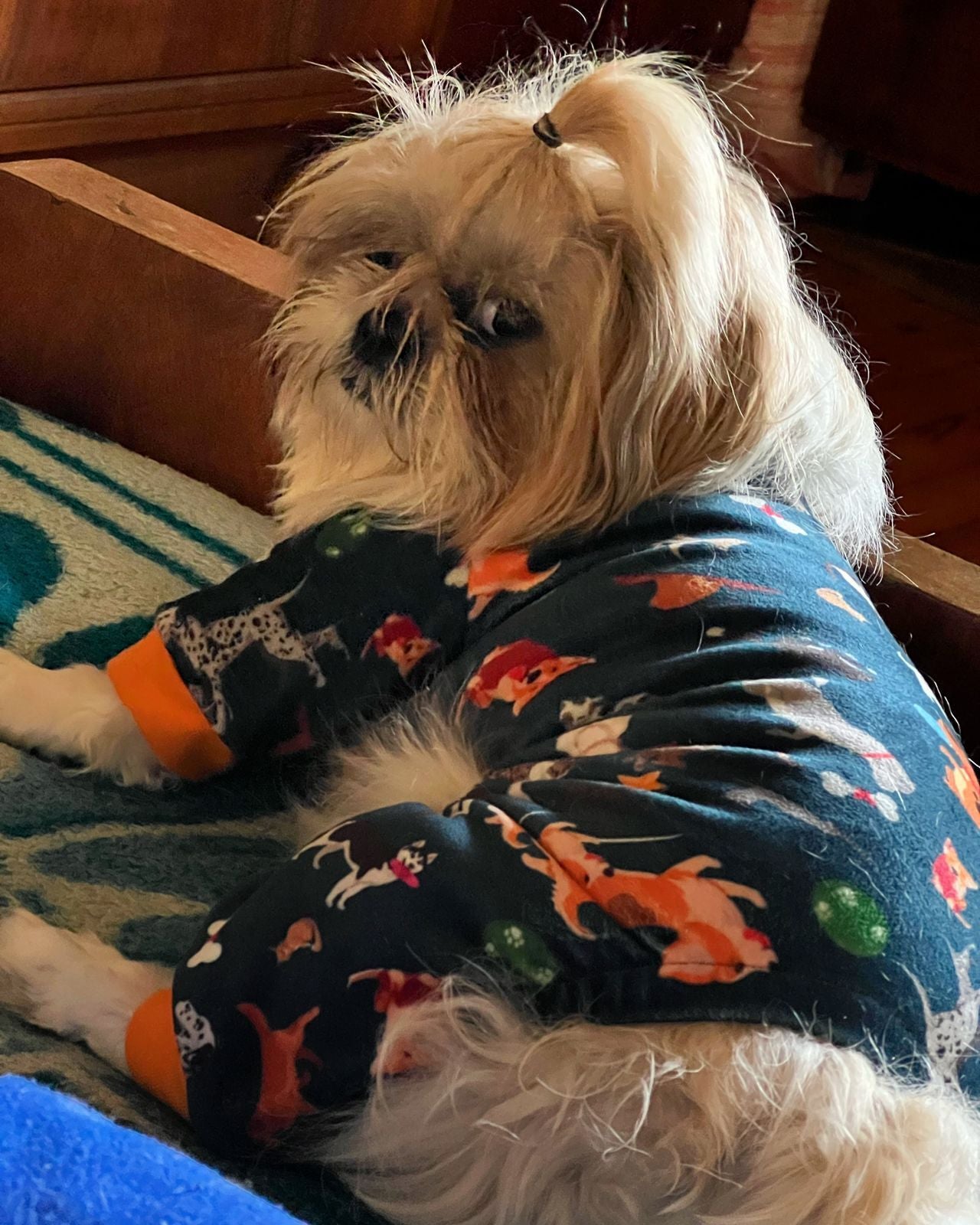 Cozy - Navy Pyjama Party