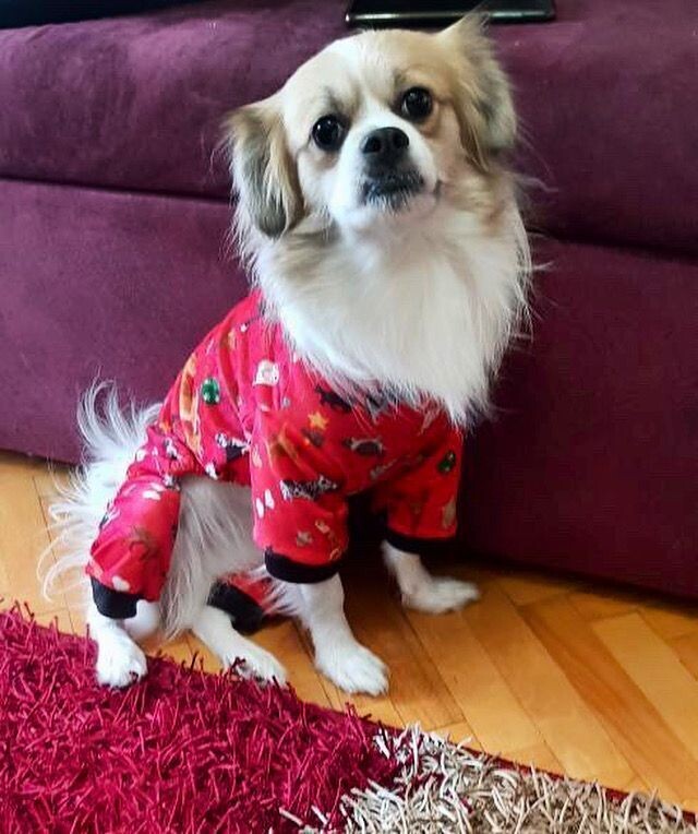 Cozy - Red Pyjama Party