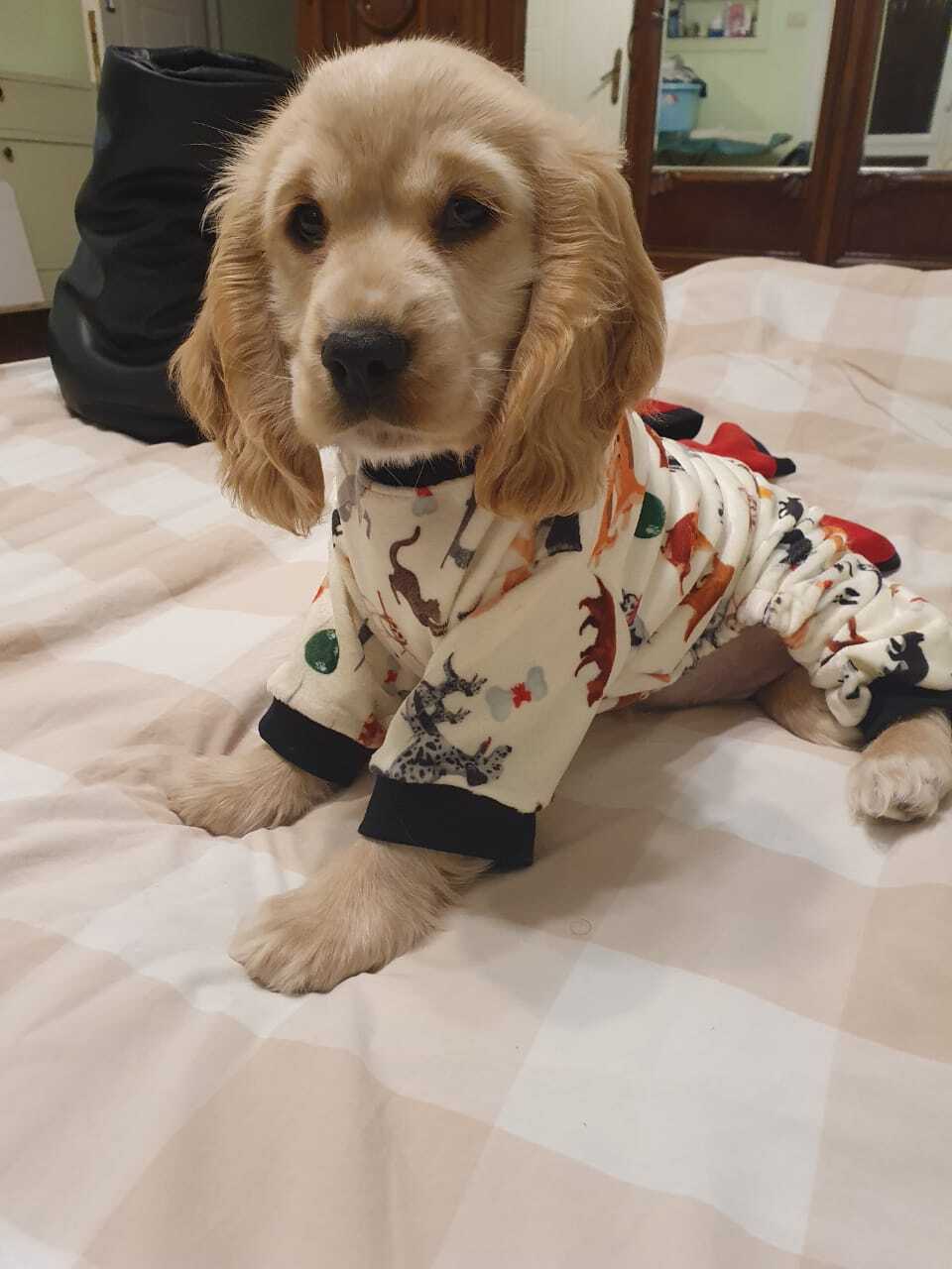 Cozy - White Pyjama Party