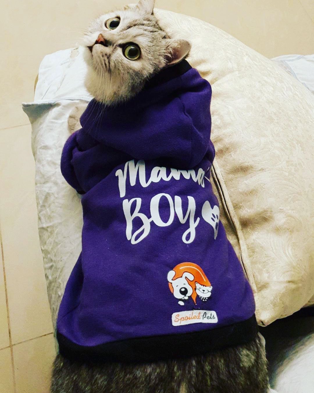 Mama's Boy
