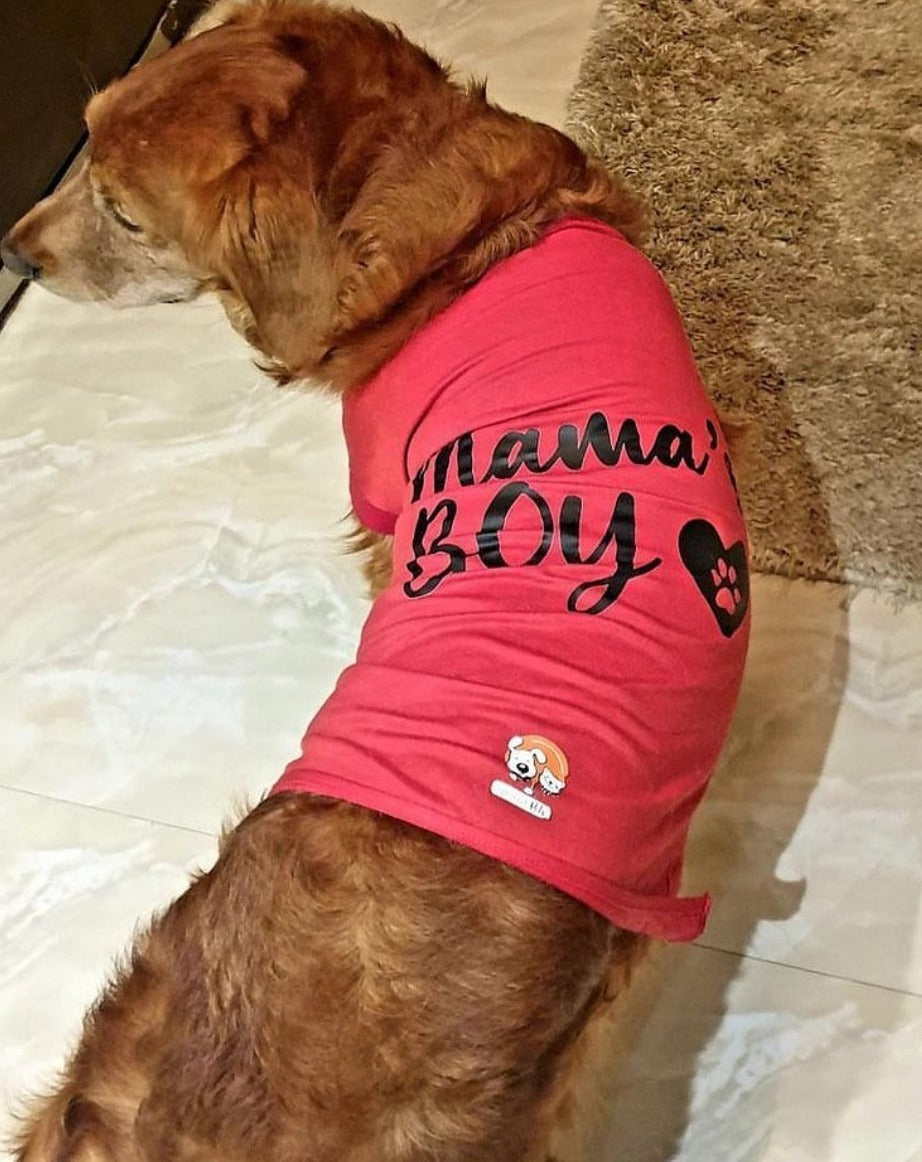 Mama's Boy
