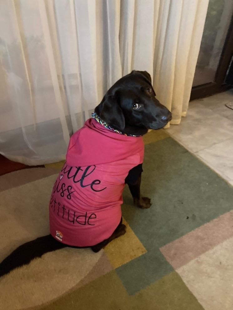 Little Miss Attitude