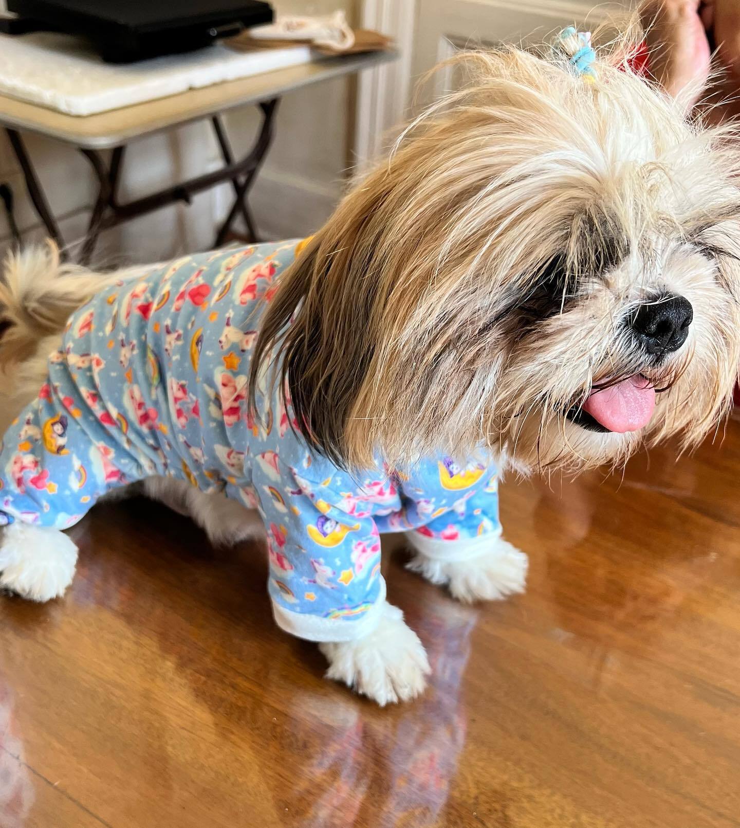 Unicorn Pyjama