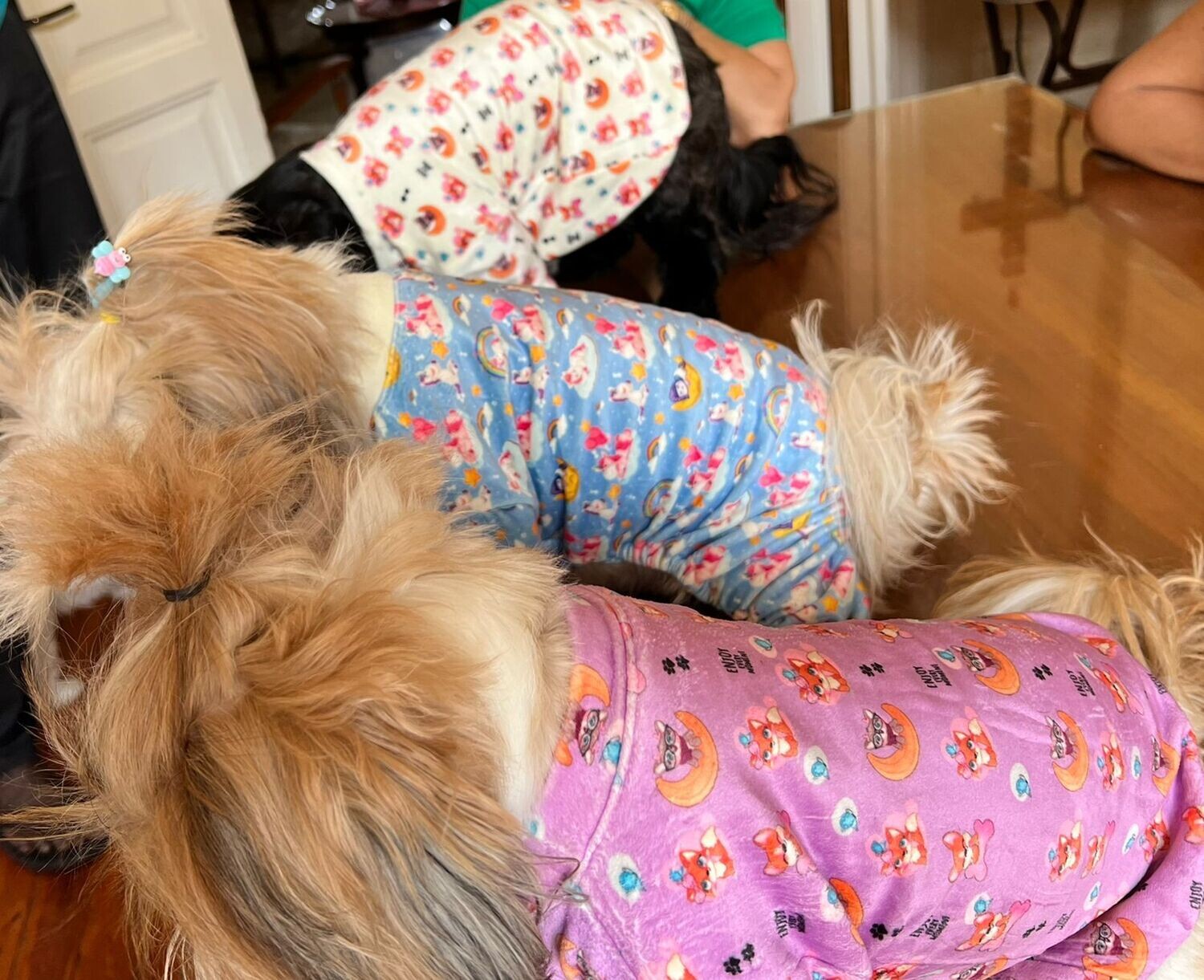 Cozy - Charming Pyjama
