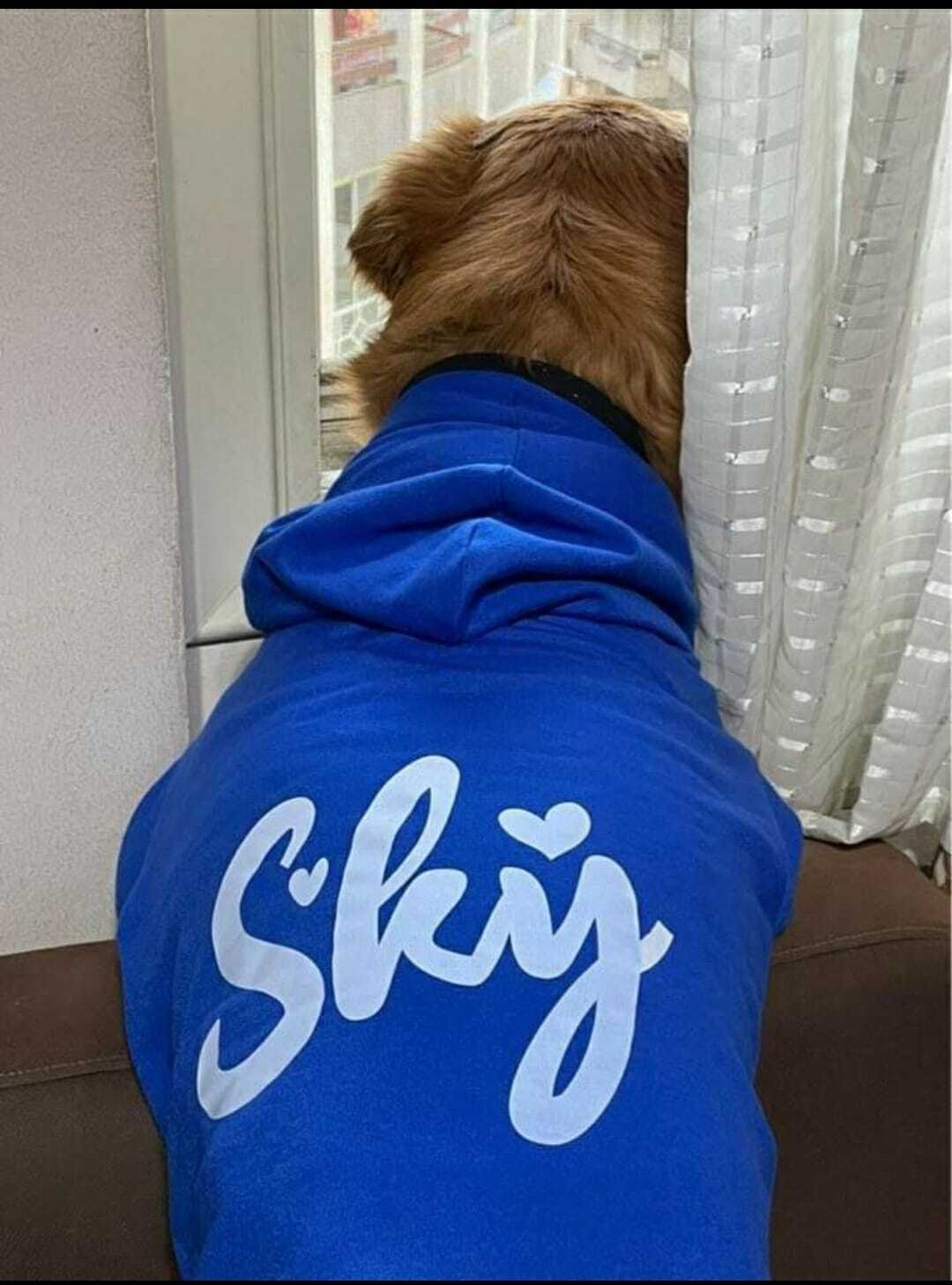 Personalized Dog Hoodie