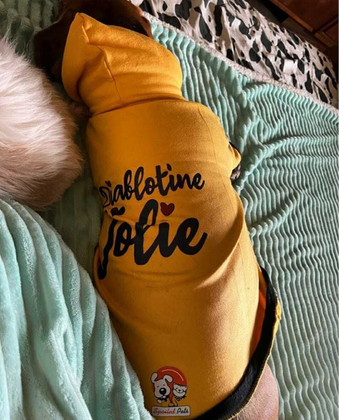 Personalized Dog Hoodie