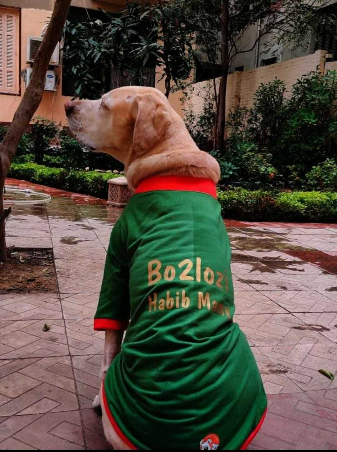 Personalized Dog Hoodie