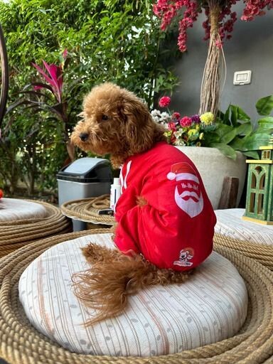 Hoo Hoo Santa Pyjama