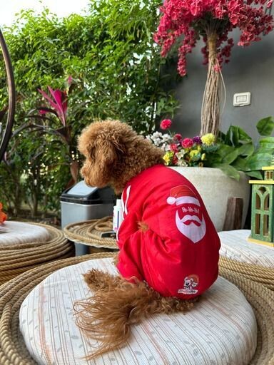 Hoo Hoo Santa Pyjama