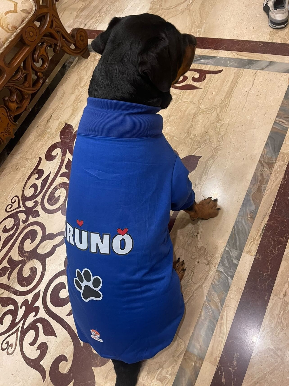 Personalized Dog Hoodie
