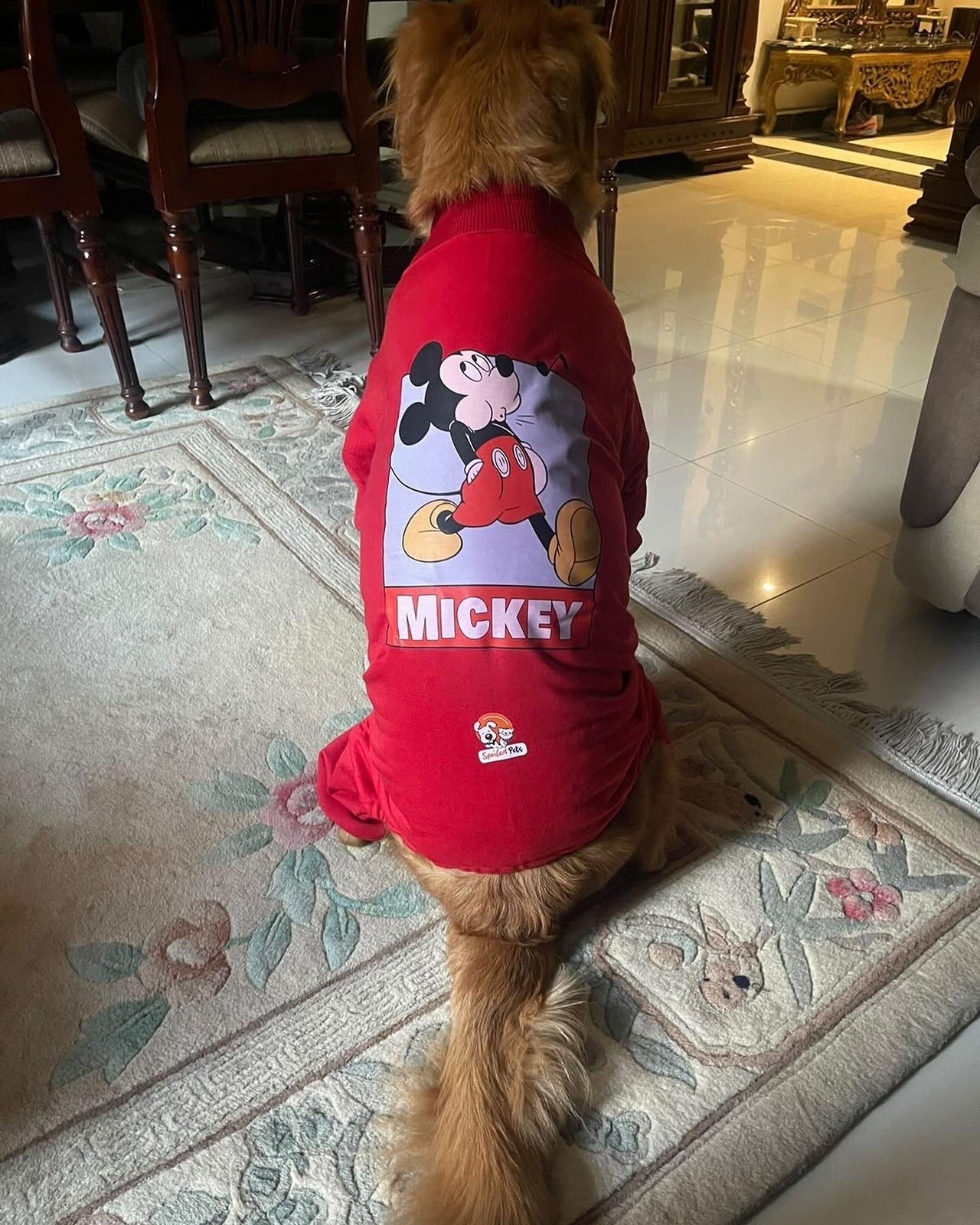Singing Mickey