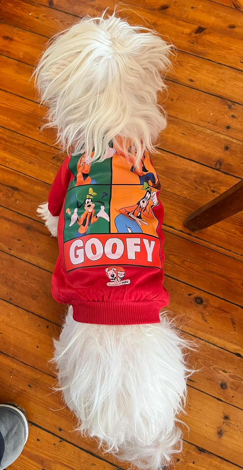 Goofy