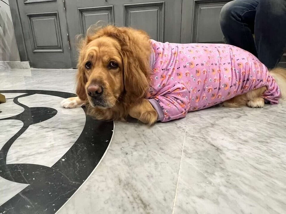 Cozy - Charming Pyjama