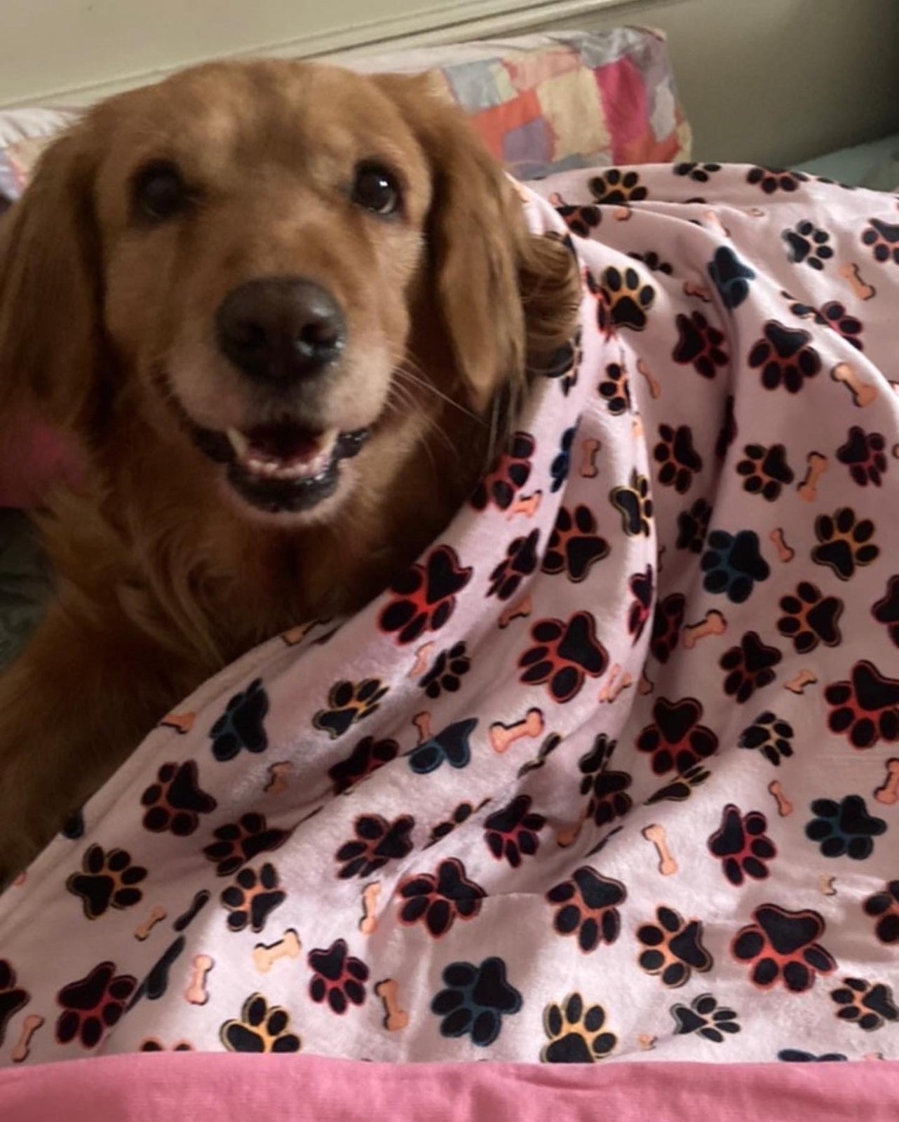 Blankets