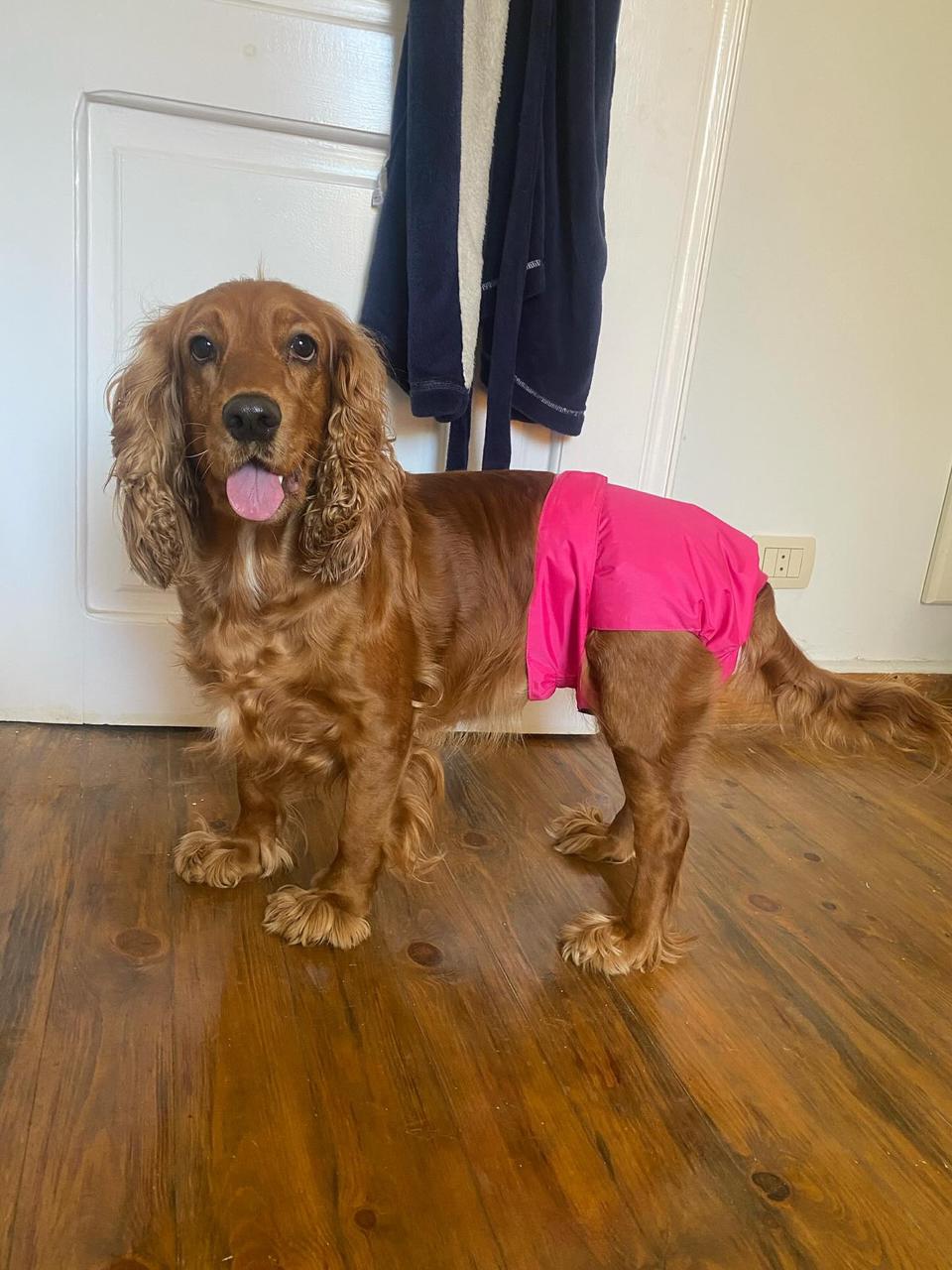 Female Washable Full Diaper