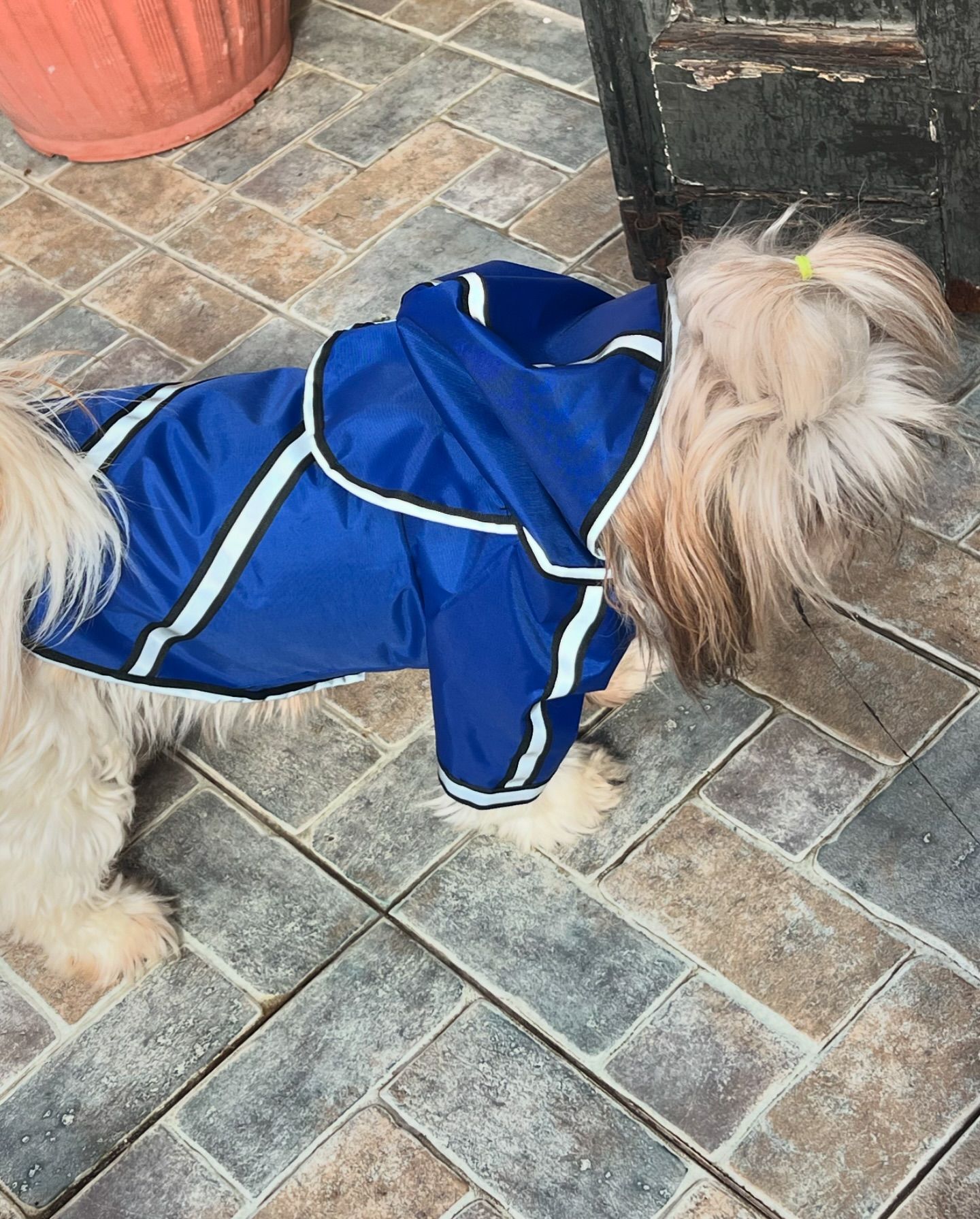 Padded Waterproof Jacket