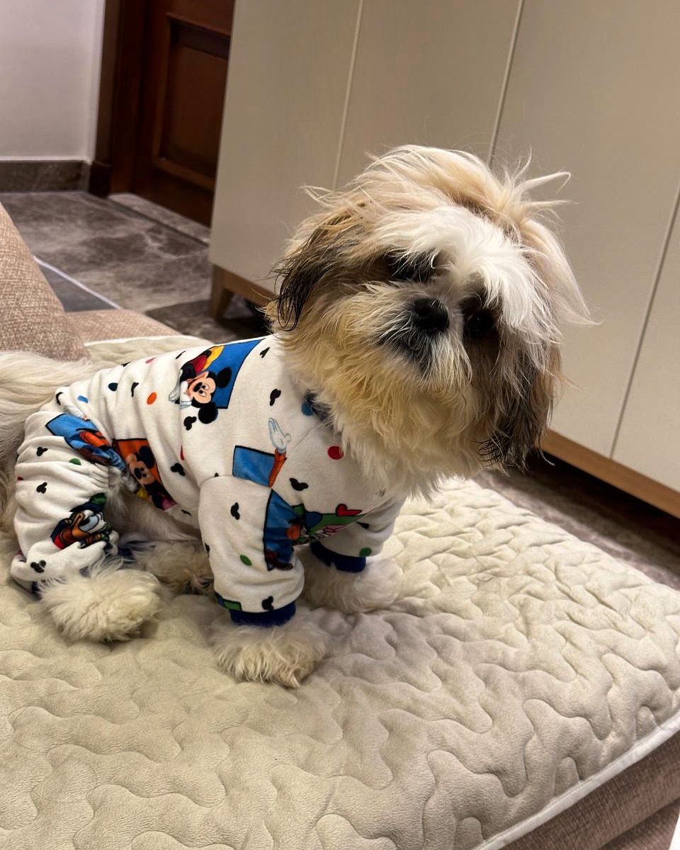 Disney Pyjama