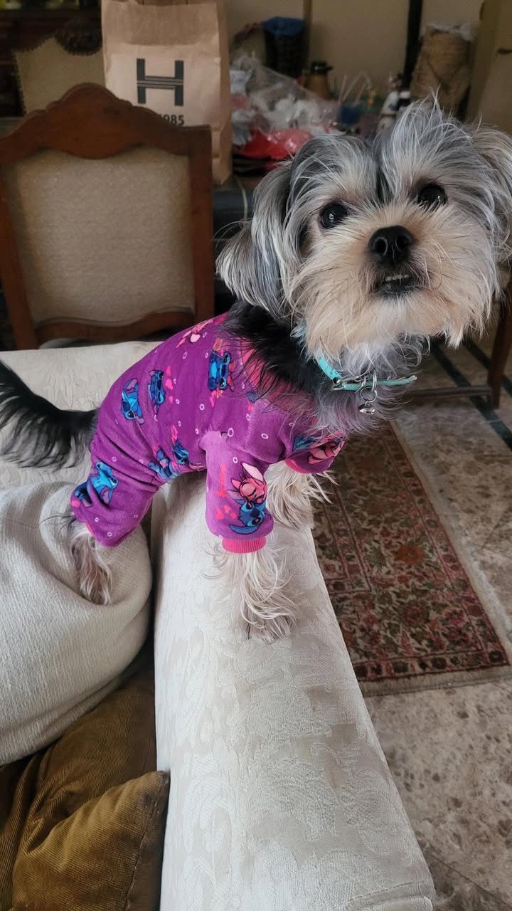 Stitch Pyjama