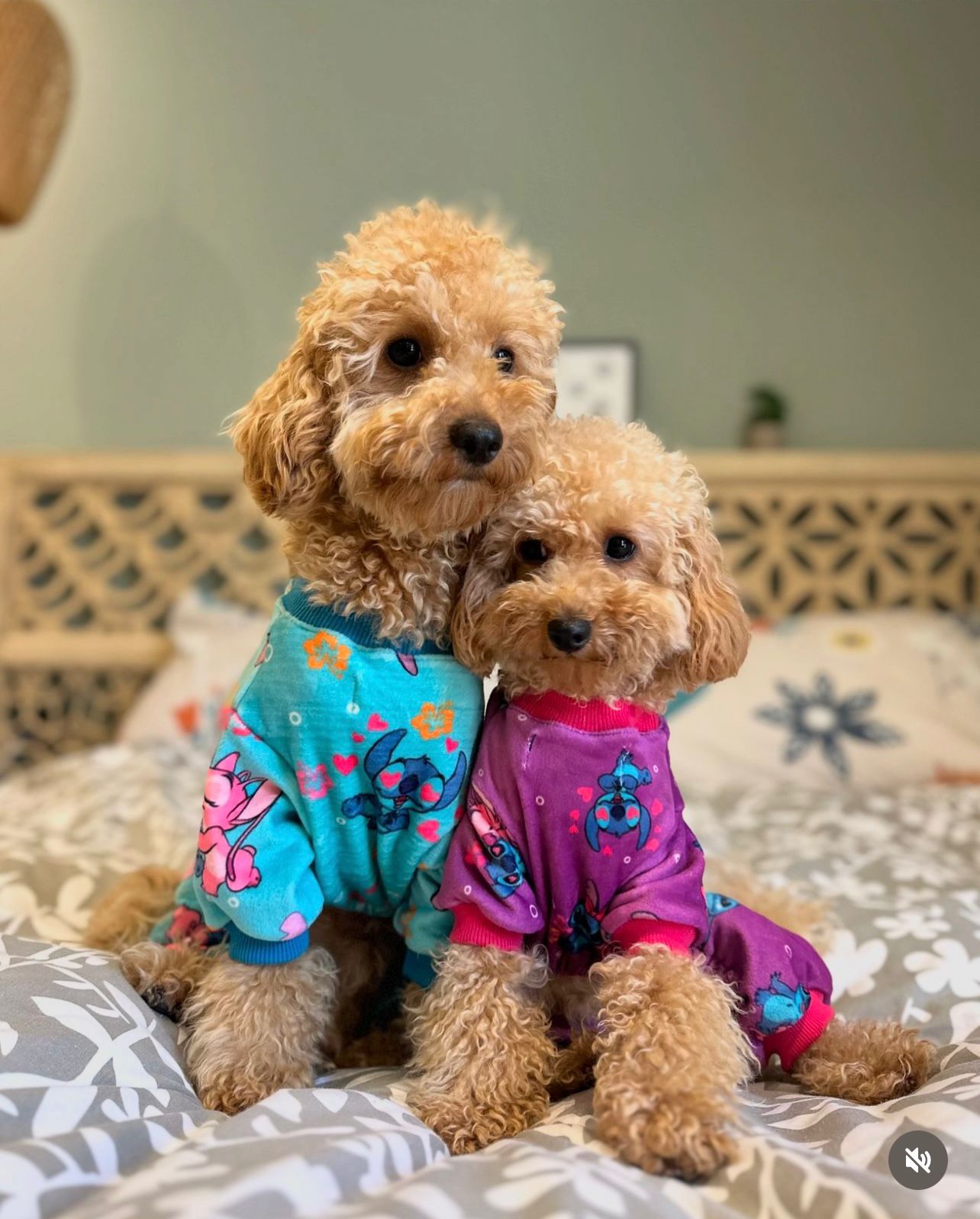 Stitch Pyjama