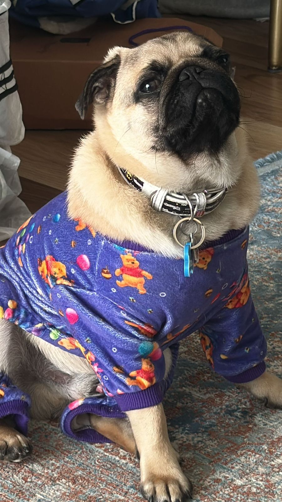 Pooh Pyjama