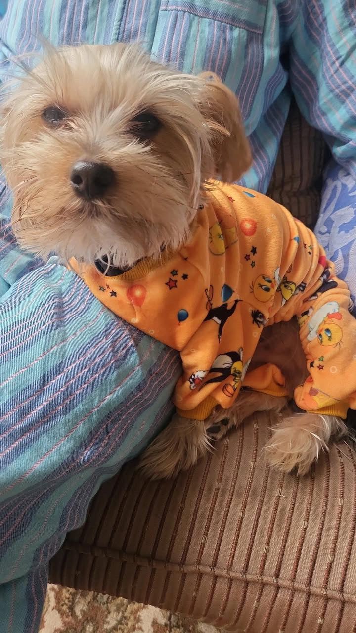 Tweety Pyjama