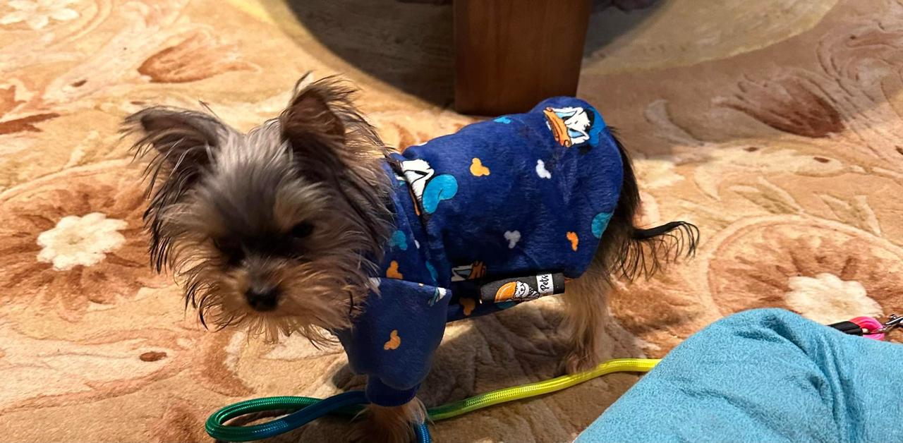 Donald Pyjama