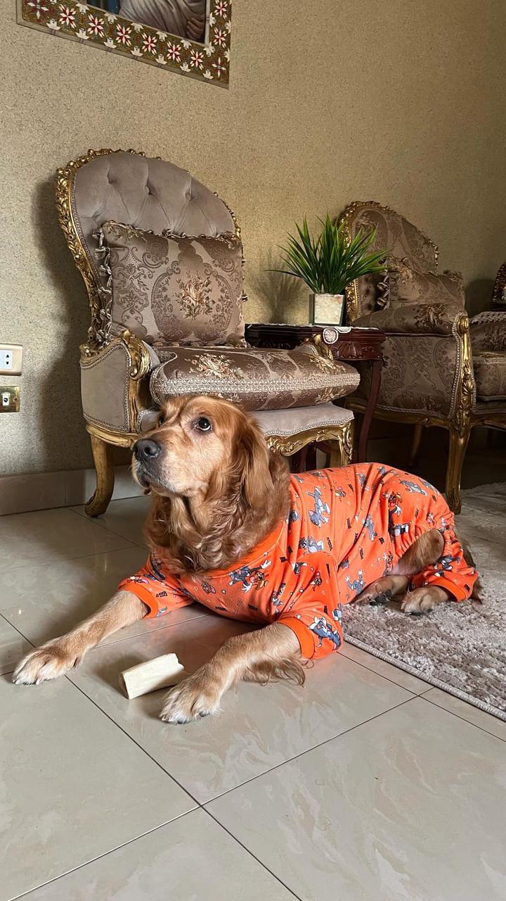 Tom & Jerry Pyjama