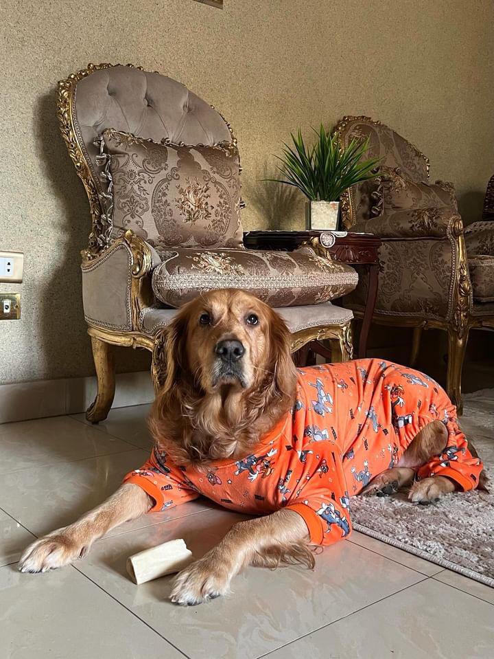 Tom & Jerry Pyjama