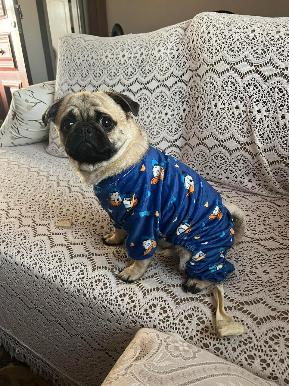 Donald Pyjama