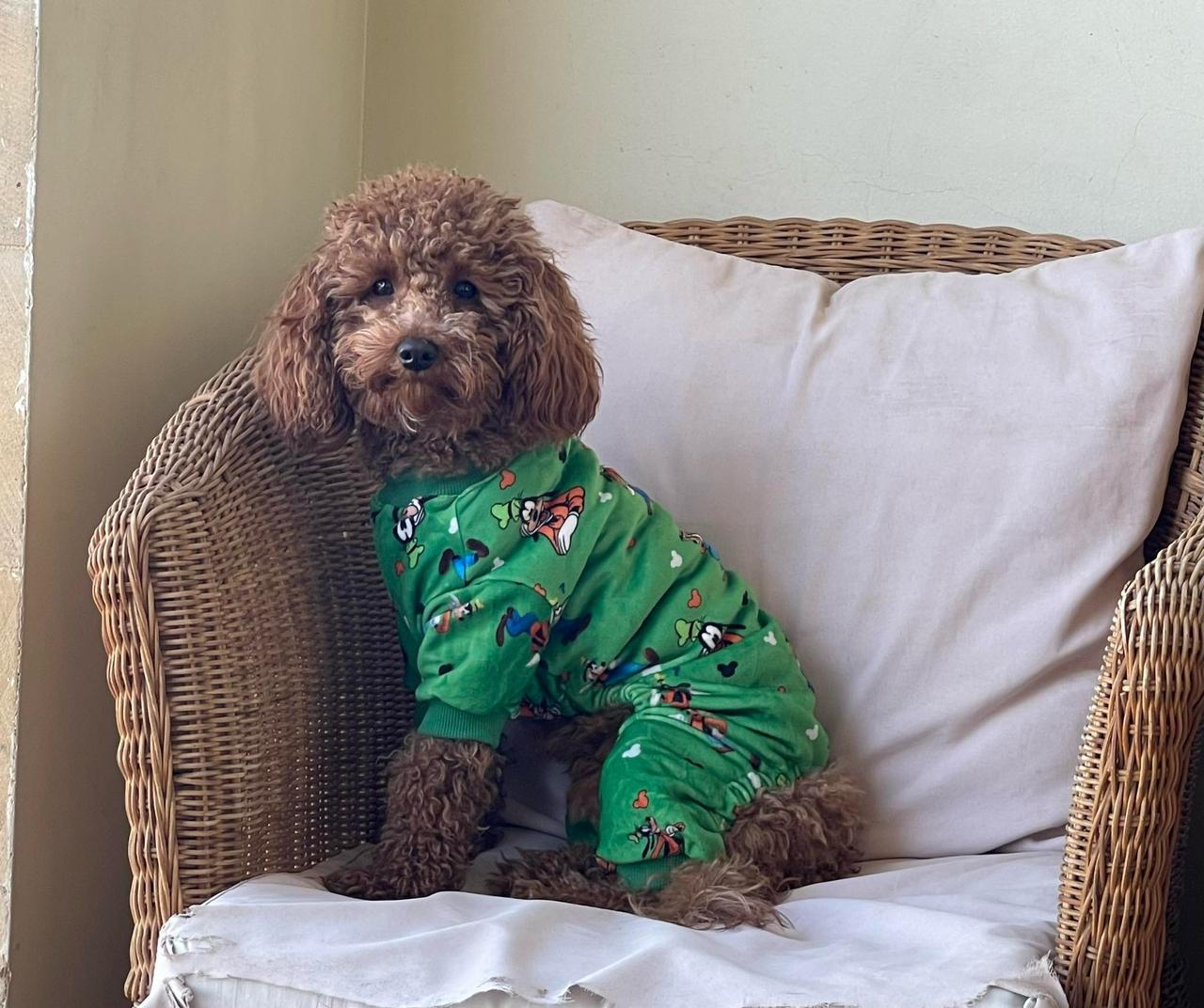 Goofy Pyjama