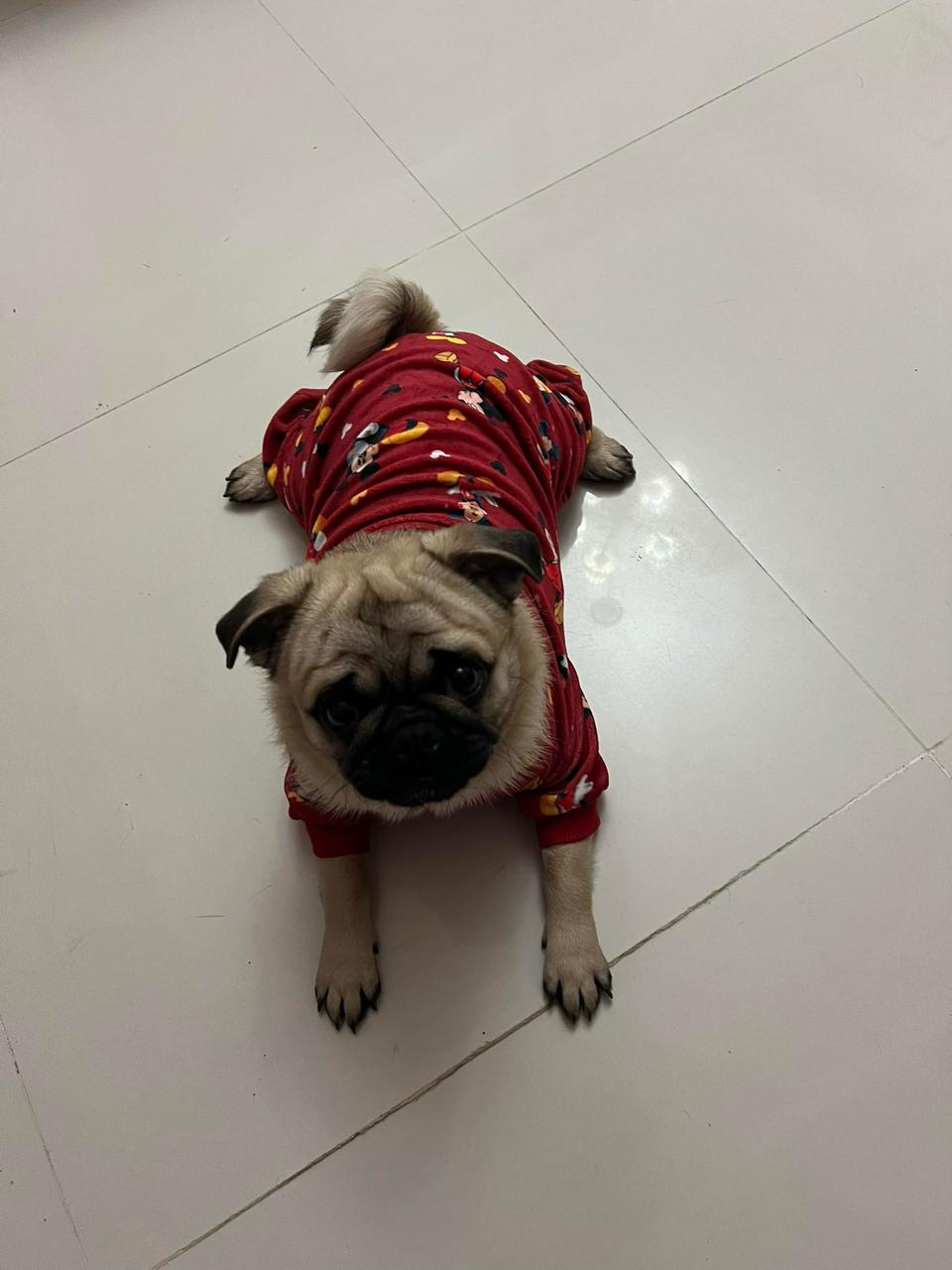 Mickey Pyjama