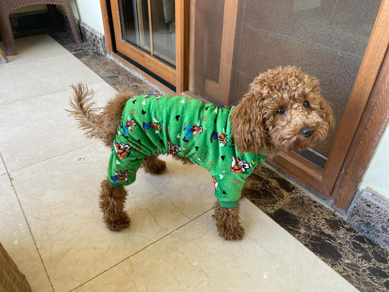Goofy Pyjama