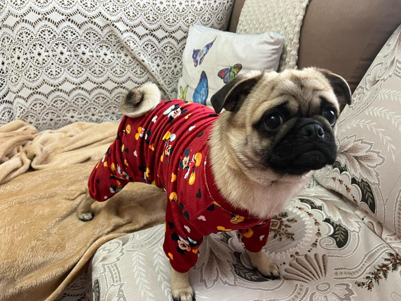 Mickey Pyjama