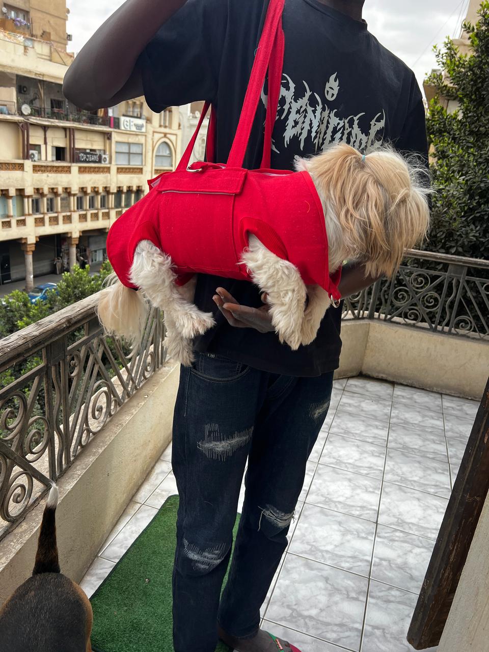 Spoiled Pets  Outing Holder