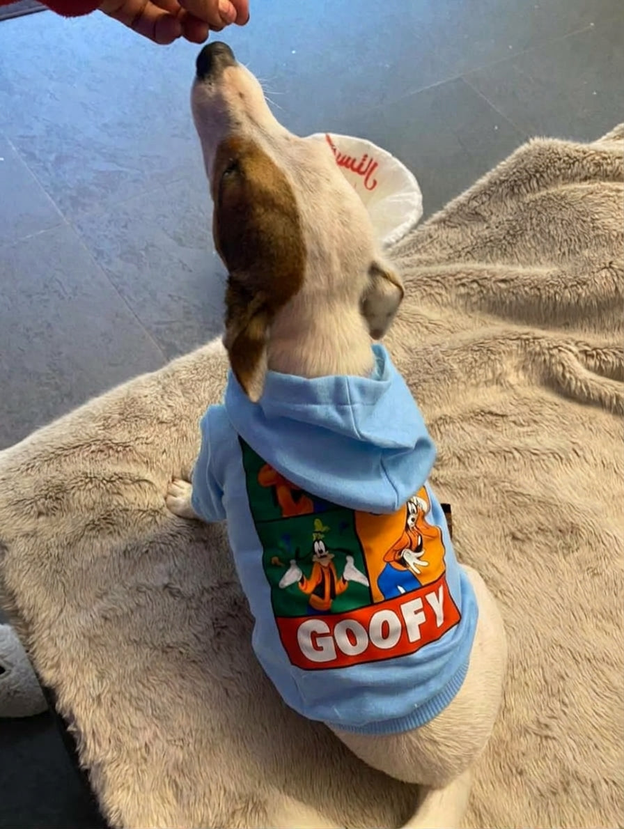 Goofy