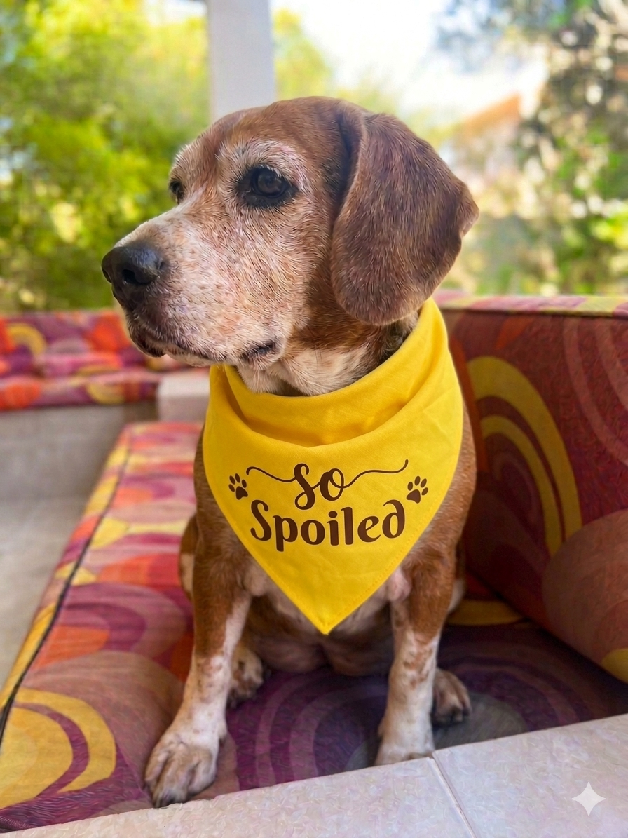 Personalized Bandana