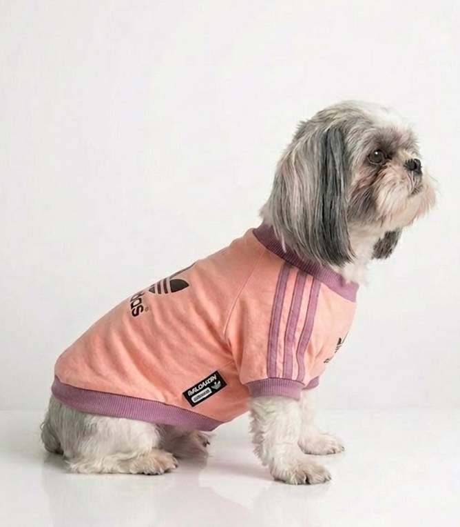 Adidas Sporty T-shirt