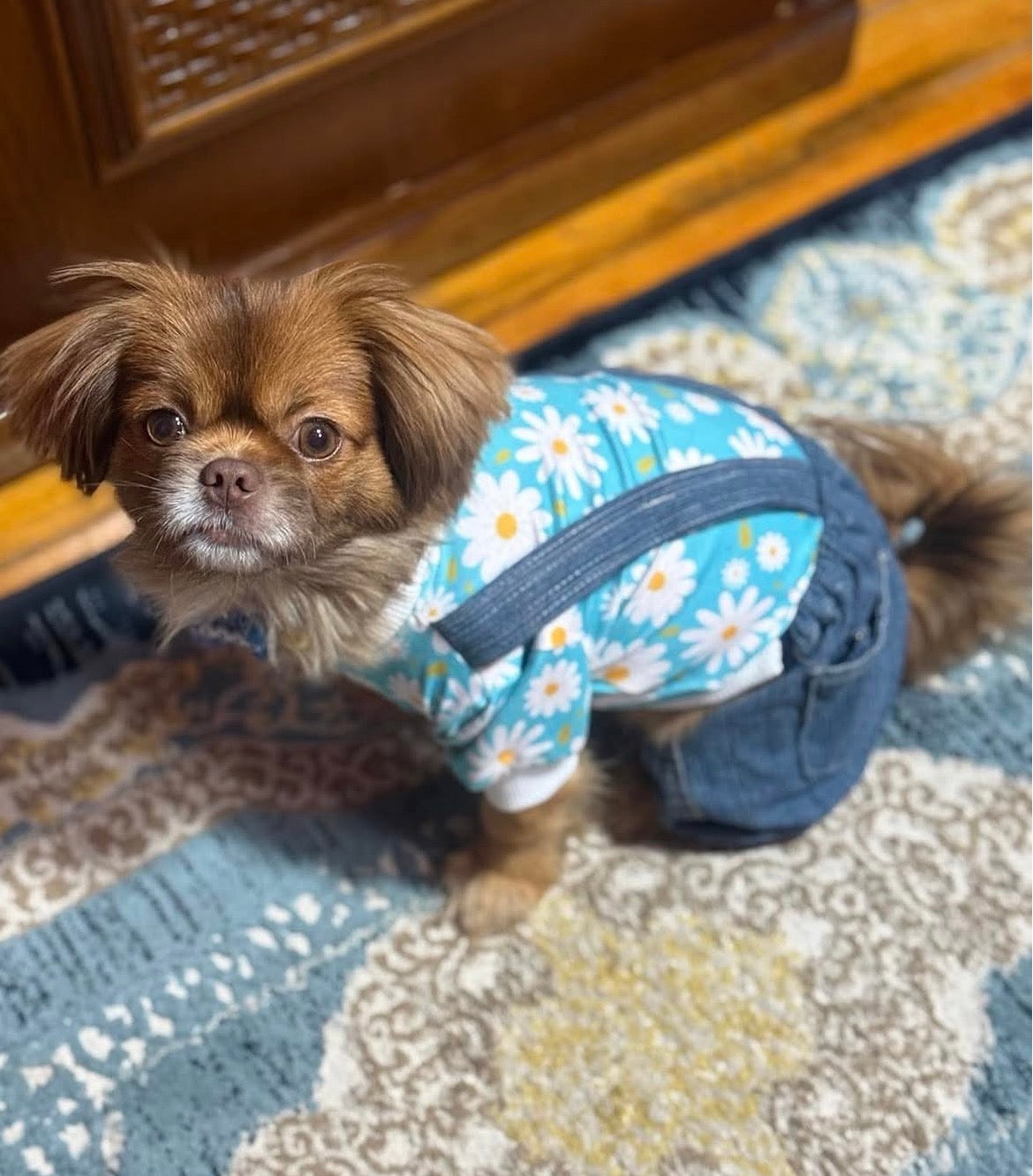 Denim Jumpsuit