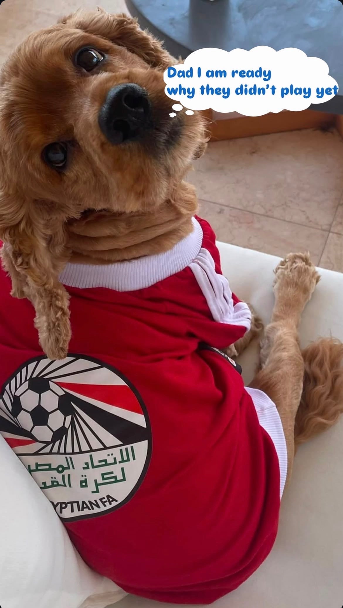 Egypt Sporty T-shirt