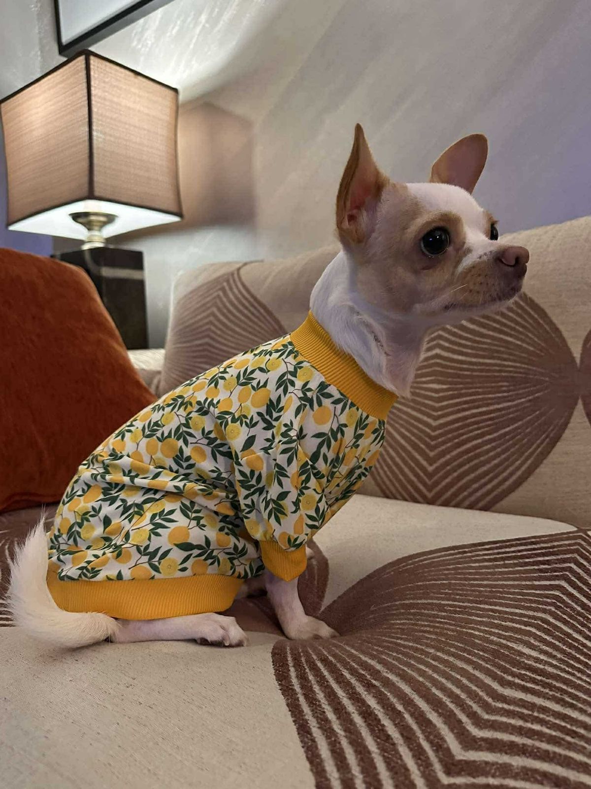Lemon T-shirt