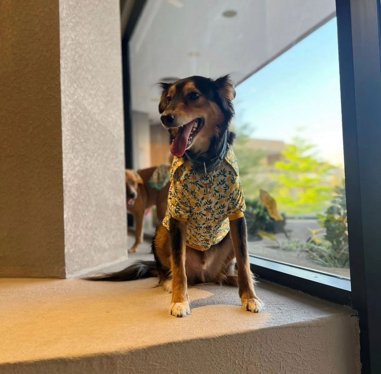 Lemon Shirt