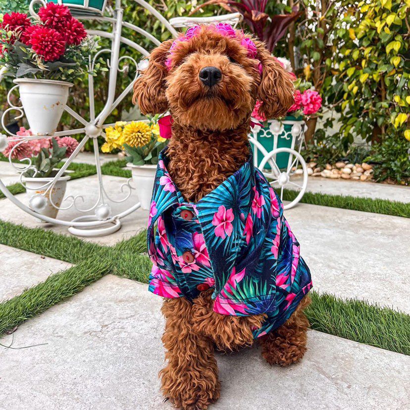 Tropical Shirt