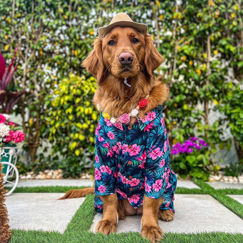 Tropical Shirt