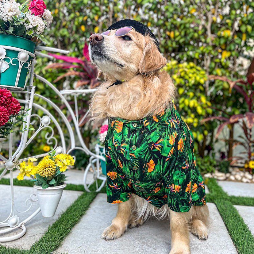 Tropical Shirt