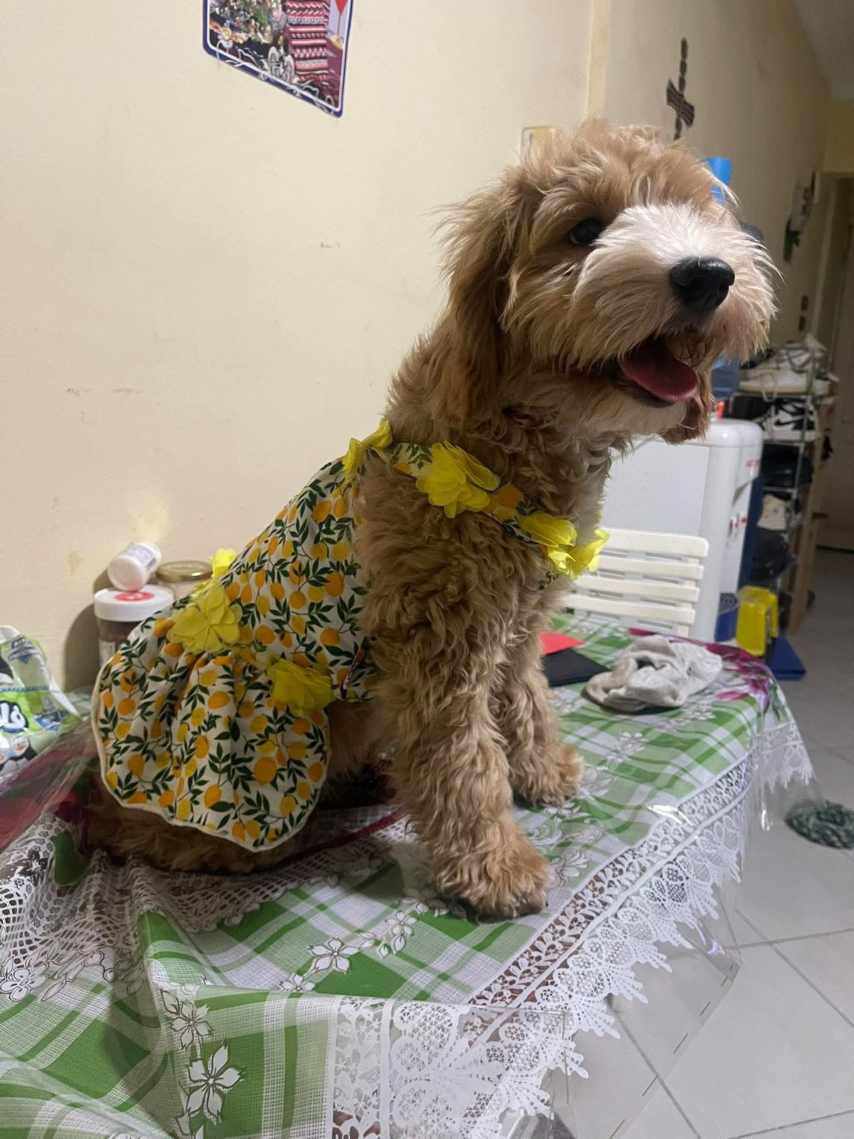 Lemon Dress