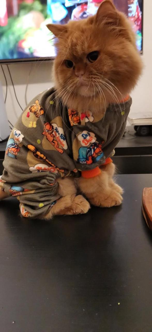 Garfield Pyjama