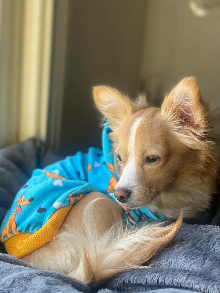 Pluto Pyjama